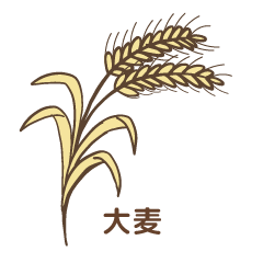 大麦